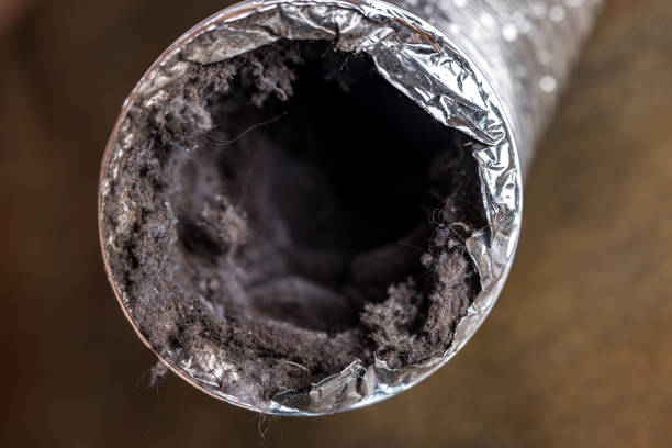 Best Residential Air Duct Cleaning  in Old Jamestown, MO